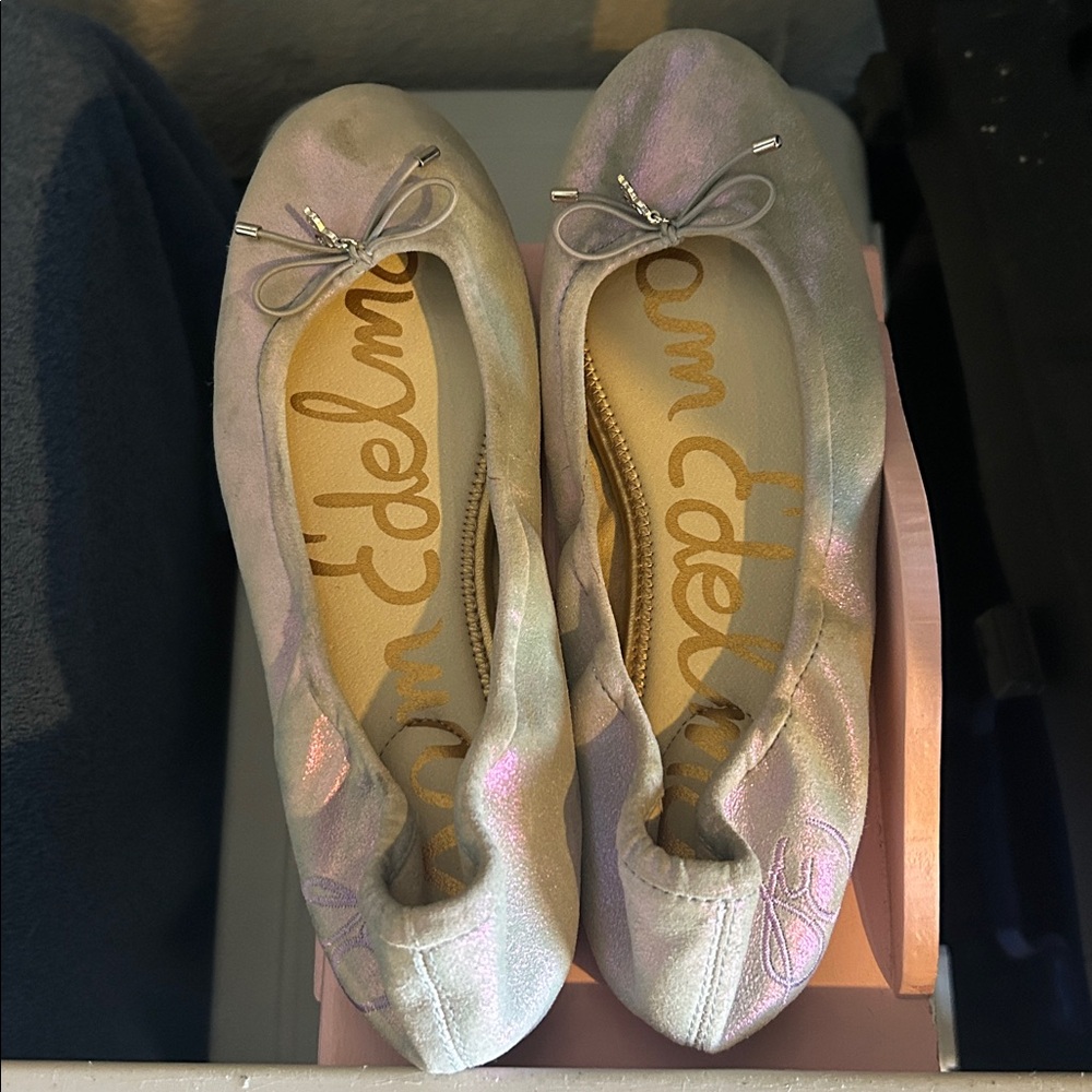 Sam Edelman Metallic Silver Flats
